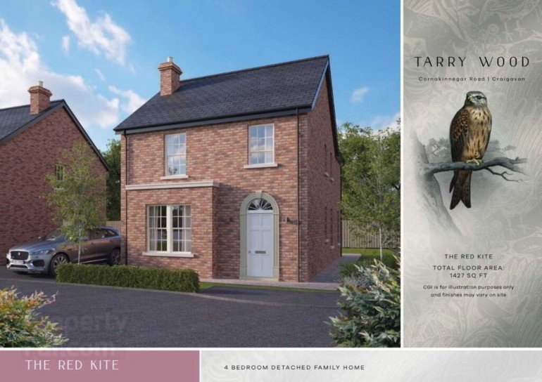 The Red Kite, Tarry Wood, Lurgan