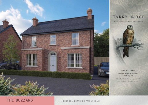 View Full Details for The Buzzard, Tarry Wood, Lurgan
