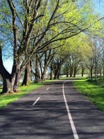 Images for Lakelands, Craigavon