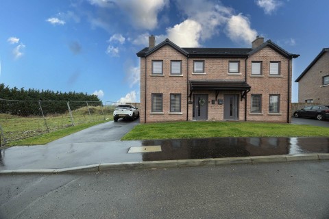 View Full Details for 45 Drumna Drive, Lurgan