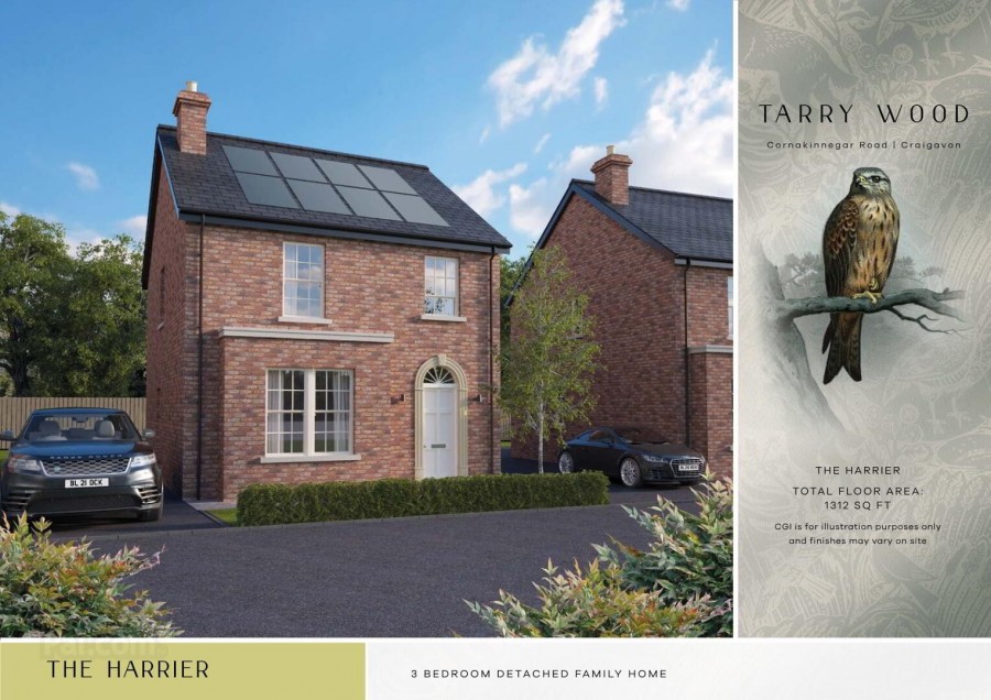 Images for Tarry Wood, Lurgan